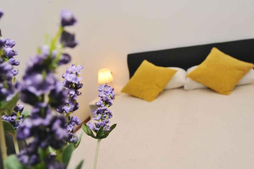 Rooms Patricija 2 Zadar Dış mekan fotoğraf